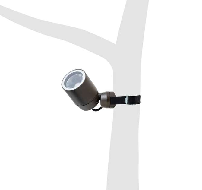 spy på træ